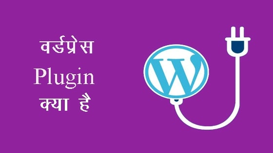Wordpress plugin क्या है
