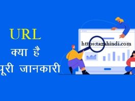 URL kya hai in Hindi