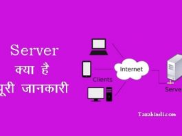 what is server in hindi