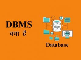 What is DBMS in Hindi