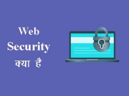 what is web security in hindi