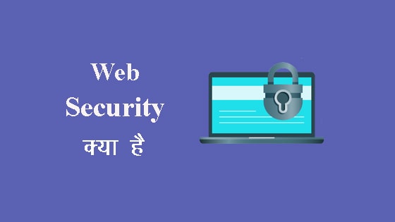what is web security in hindi