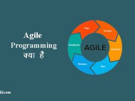 What is Agile Programming in Hindi