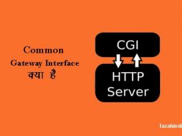 What is Common Gateway Interface in Hindi