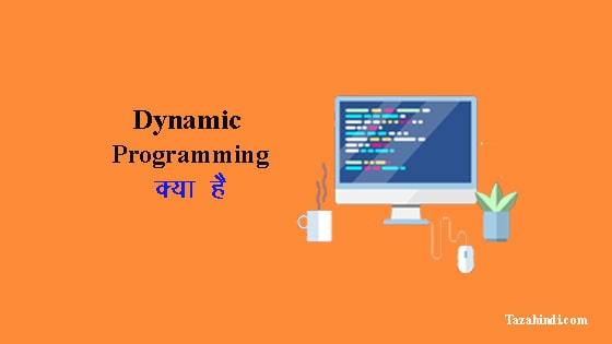 What is Dynamic Programming in Hindi