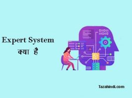 What is Expert System in Hindi