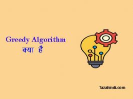 What is Greedy Algorithm in Hindi