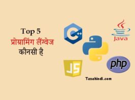 Top 5 programming language in 2022