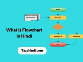 What is Flowchart in Hindi