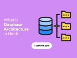 What is Database Architecture in Hindi