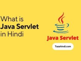 What is Java Servlet