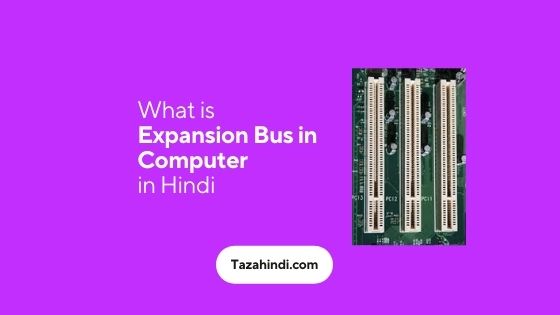 What is expansion bus in Computer in Hindi
