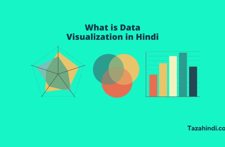 What is data visualization in Hindi