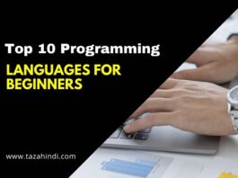 Top 10 Programming Languages for Beginners