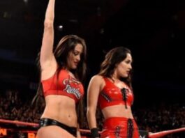 WWE stars Nikki and Brie Bella_2