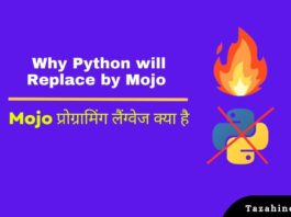What is Mojo Programming Language