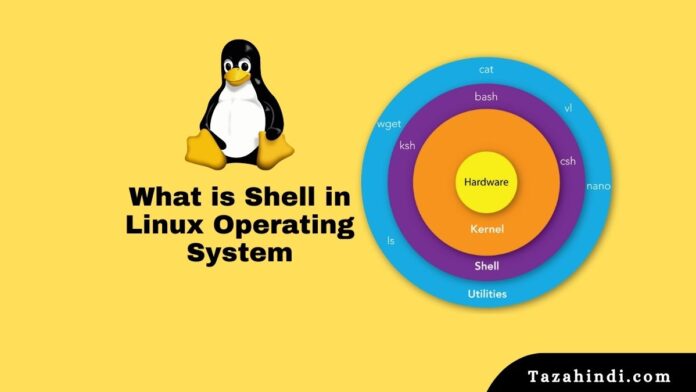 What is Shell in Linux Operating System in Hindi