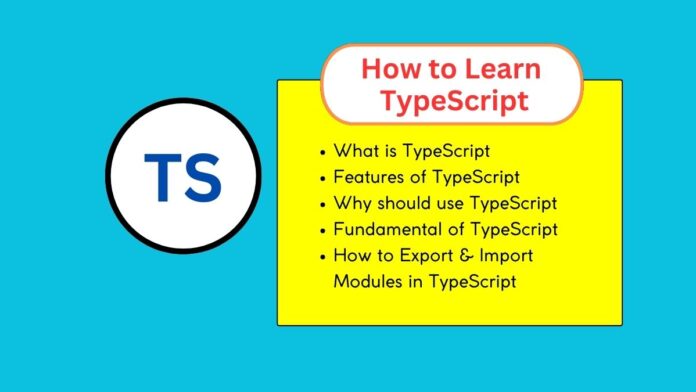 What is TypeScript and How to Learn TypeScript