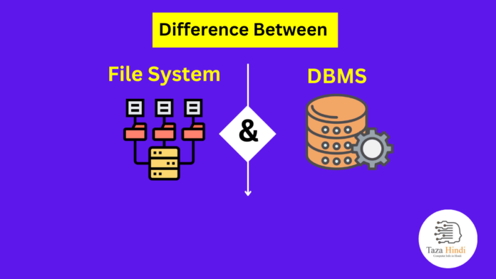 Difference between File System and DBMS