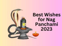 Nag Panchami 2023