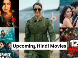 Upcoming Hindi Movies in Last Week of October 2023