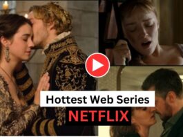 Top 5 Hot Netflix Web Series