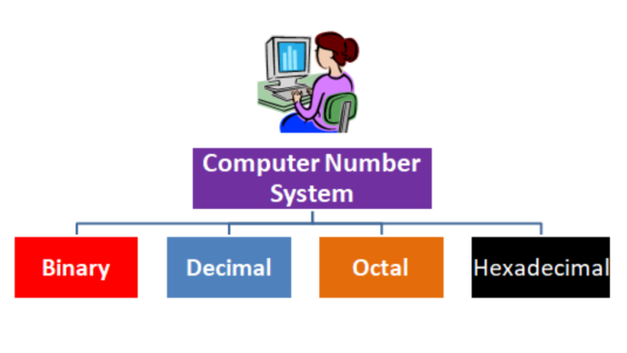 Computer Number System in Hindi